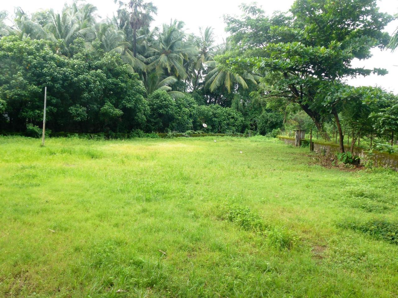 Ashish Baug Cottage Алибаг Экстерьер фото
